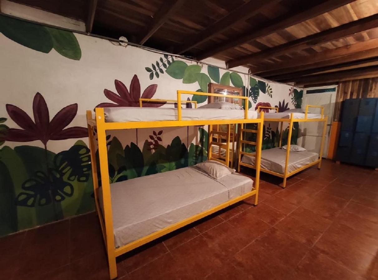 Madre Selva Hostel Puerto Viejo de Talamanca Екстериор снимка