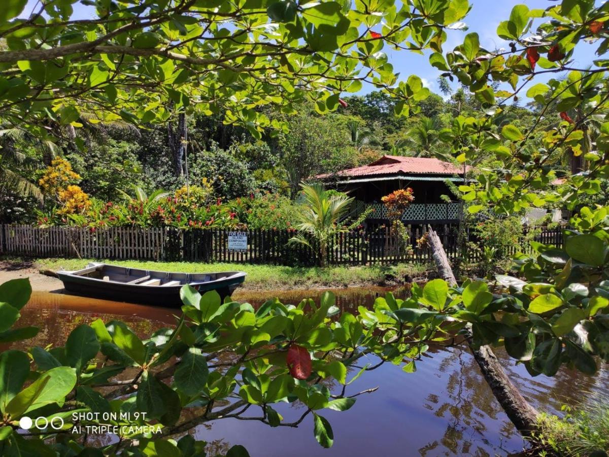 Madre Selva Hostel Puerto Viejo de Talamanca Екстериор снимка