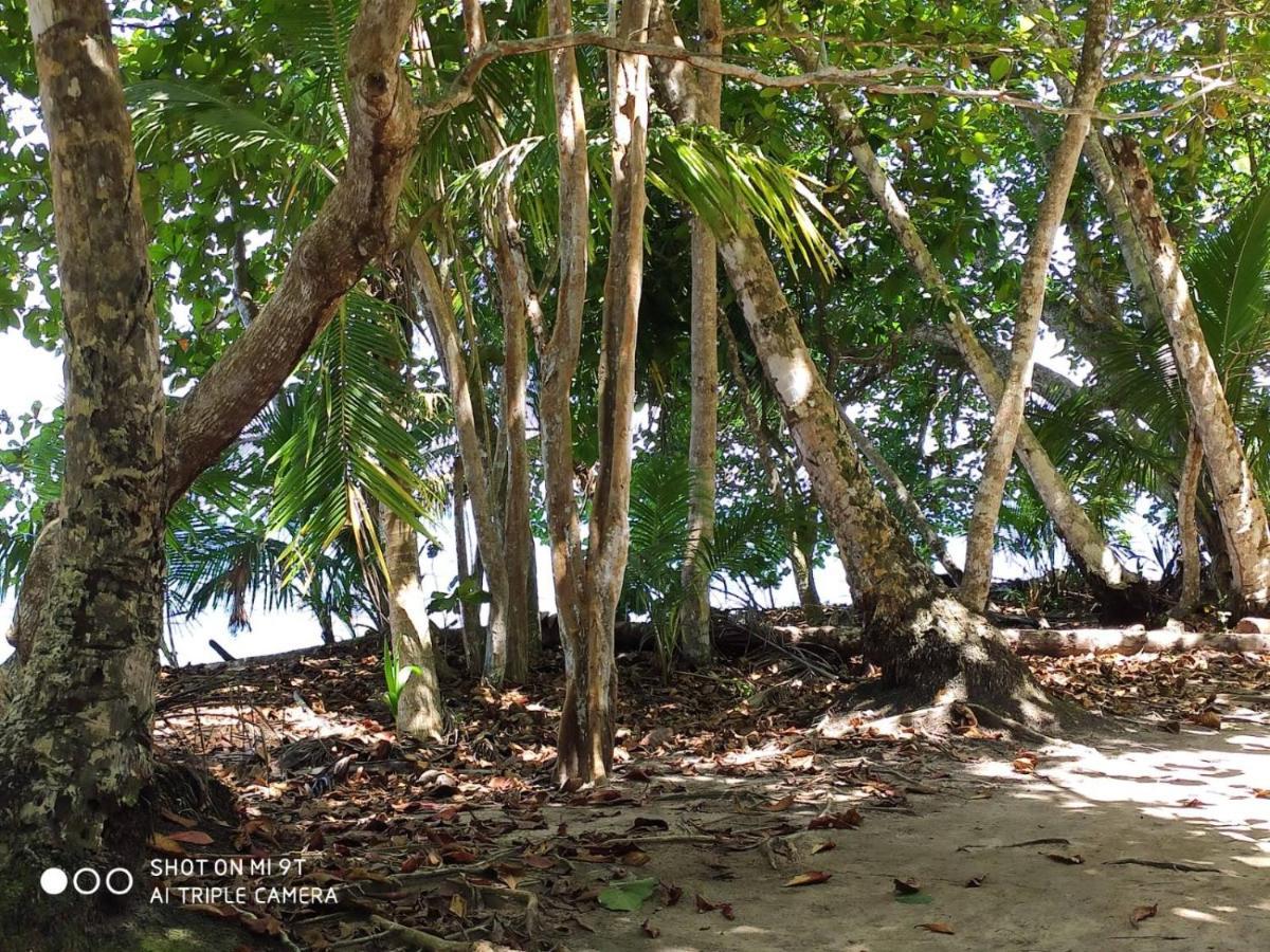Madre Selva Hostel Puerto Viejo de Talamanca Екстериор снимка