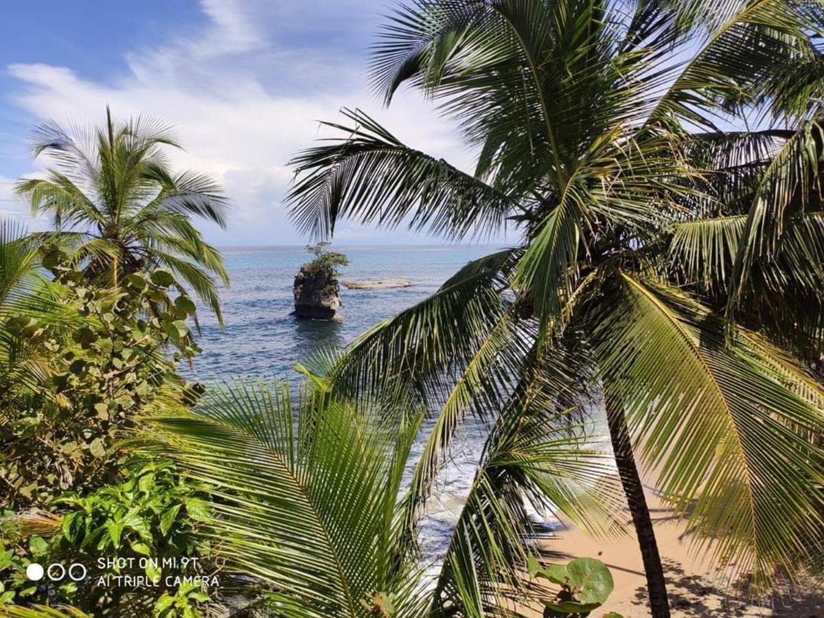 Madre Selva Hostel Puerto Viejo de Talamanca Екстериор снимка