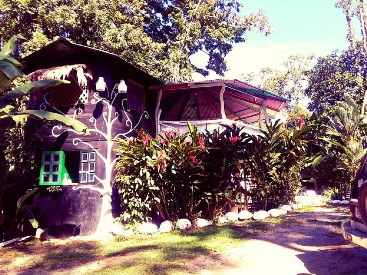 Madre Selva Hostel Puerto Viejo de Talamanca Екстериор снимка