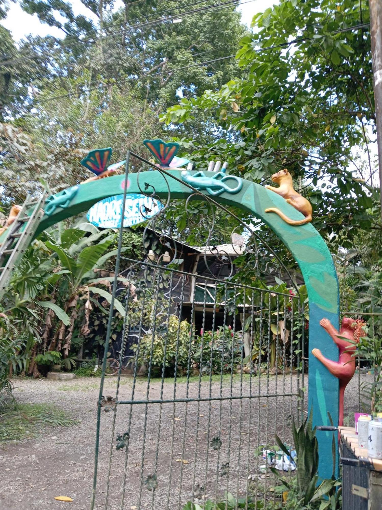 Madre Selva Hostel Puerto Viejo de Talamanca Екстериор снимка
