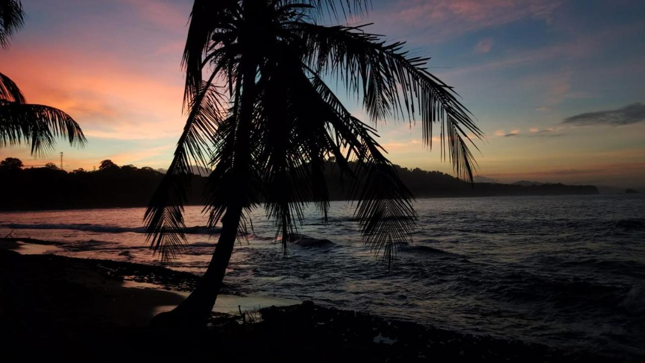Madre Selva Hostel Puerto Viejo de Talamanca Екстериор снимка
