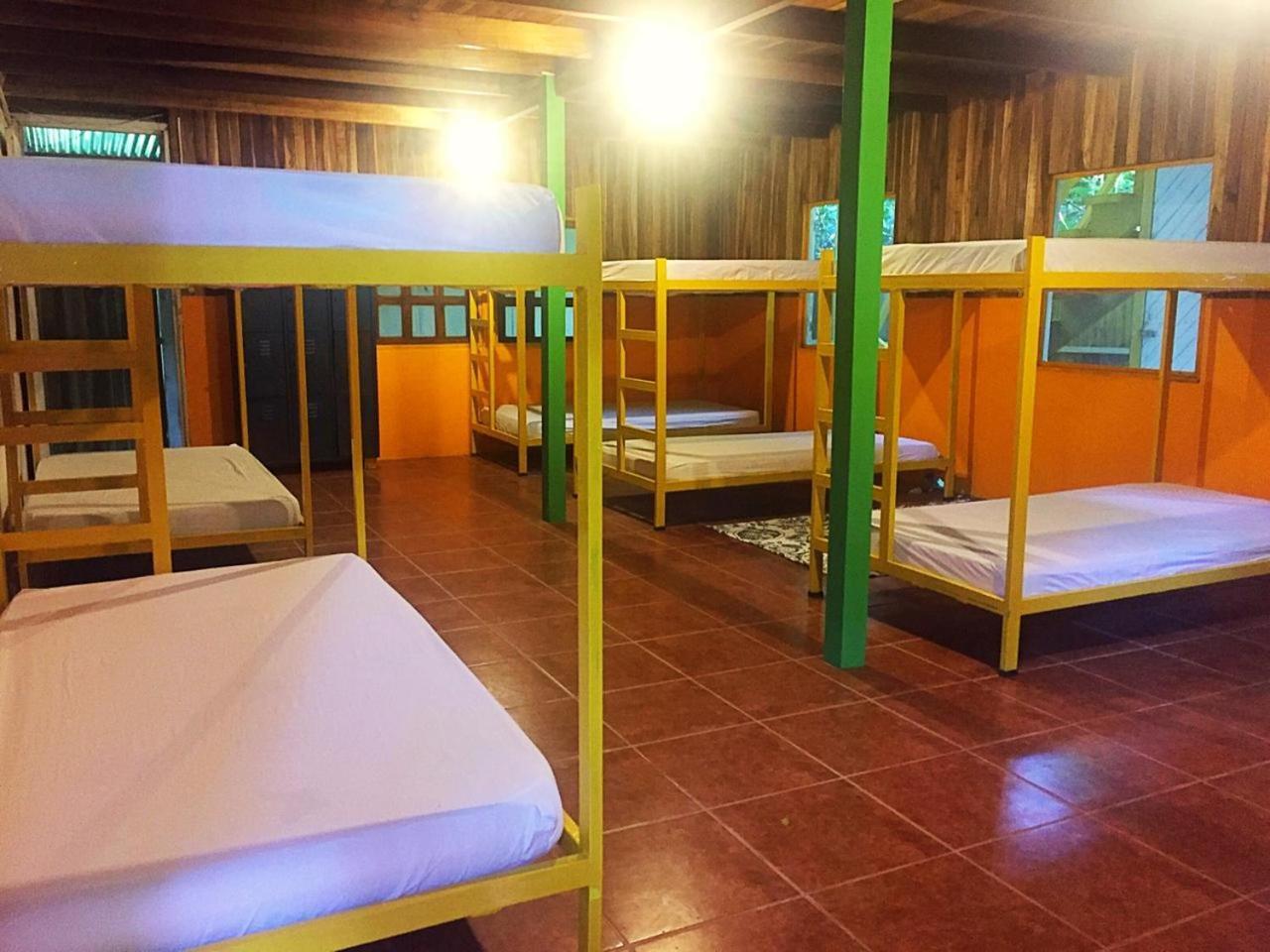 Madre Selva Hostel Puerto Viejo de Talamanca Екстериор снимка