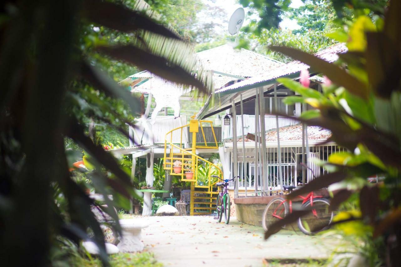 Madre Selva Hostel Puerto Viejo de Talamanca Екстериор снимка
