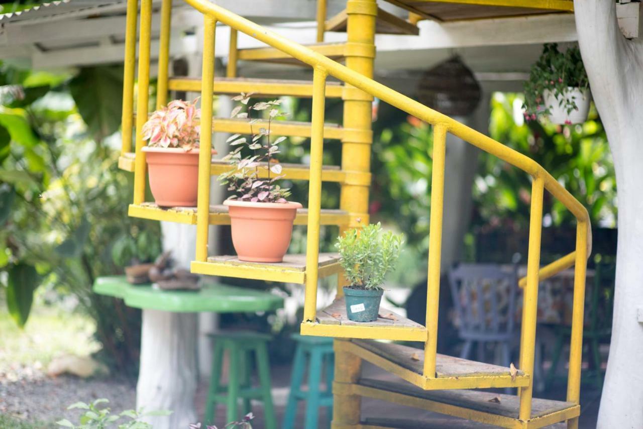 Madre Selva Hostel Puerto Viejo de Talamanca Екстериор снимка