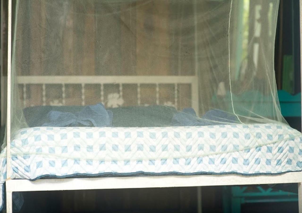 Madre Selva Hostel Puerto Viejo de Talamanca Екстериор снимка